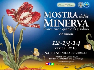 locandina-mostra-minerva-rtalive