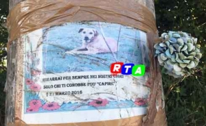 animalisti-cane-ricordi-rtalive