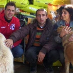 630_canile_cani_colletta_associazione-zeofila-nocerina