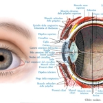 occhio_malattia-rara