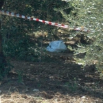 640_caccia_sparato_ucciso_bosco_carabinieri