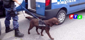 630_unita-cinofile_polizia_bomba