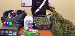 630-carabinieri-droga-marijuana-coltivazione