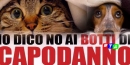 630-botti-di-capodanno-animali-paura-rtalive-wwf-nocera-inferiore