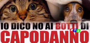 630-botti-di-capodanno-animali-paura-rtalive-wwf-nocera-inferiore