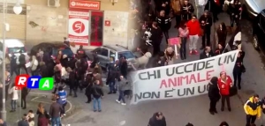 630-chicca-salerno-rtalive-animalisti