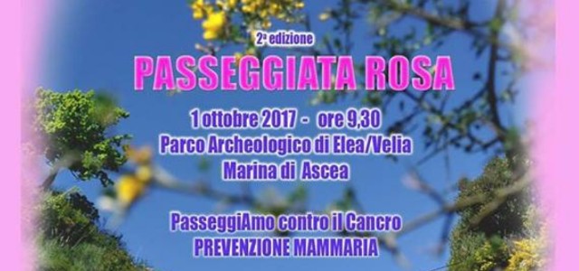 Passeggiata-Rosa-Ascea