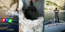 640-cagnolino-abbandonato-in-spiaggia-rtalive