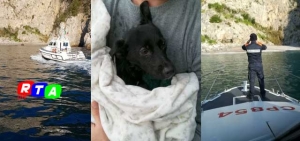 640-cagnolino-abbandonato-in-spiaggia-rtalive