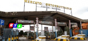 640-mercato-ortofrutticolo-nocera-pagani-rtalive