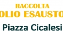 OlioEsausto-raccolta-cicalesi