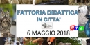 640-fattoria-didattica-2018-nocera-rtalive