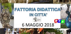 640-fattoria-didattica-2018-nocera-rtalive