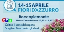 640-fiori-d'azzurro-rtalive