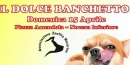 Associazioni.zoofila-banchetto