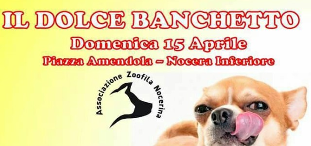 Associazioni.zoofila-banchetto