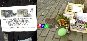 1-chicca-cane-salerno-rtalive