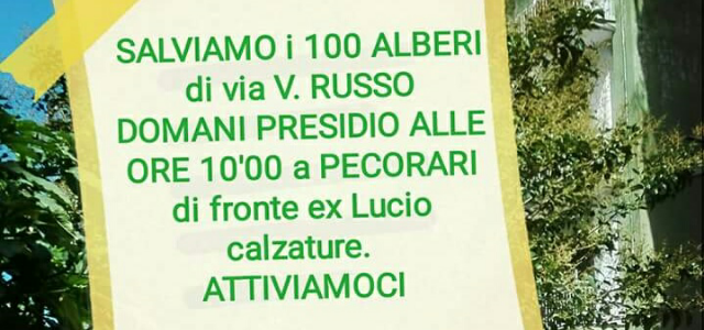 via.Russo.taglio.alberi640x300