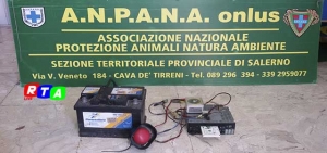 anpana-bracconaggio-mercato-san-severino