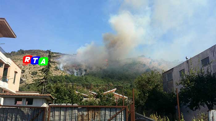 incendio-alberi-collina-nocera-fiano