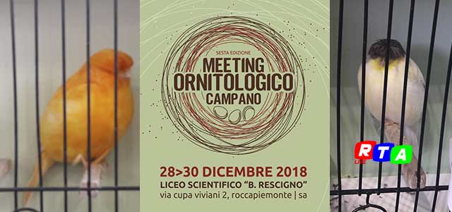 meeting-ornitologico