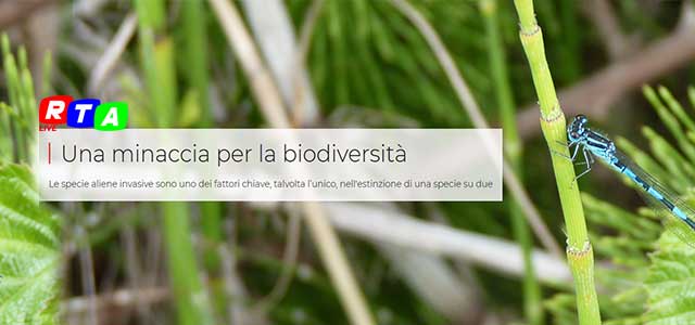 biodiversita'-rtalive-parco-vesuvio