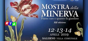 mostra-della-minerva-rtalive