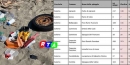 leambiente-spiagge-rifiuti-rtalive