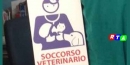 soccorso-veterinaio-rtalive-nocera