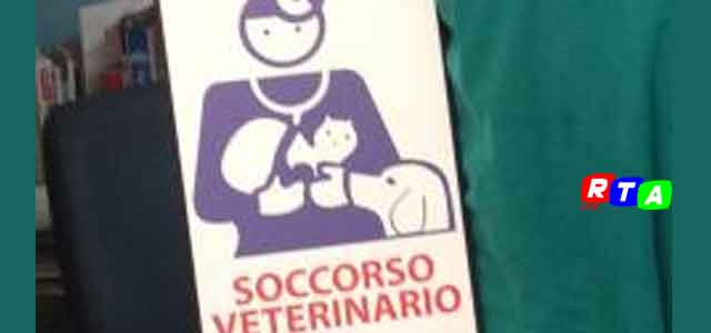 soccorso-veterinaio-rtalive-nocera