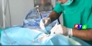 veterinaio-operazione-chirurgica-rtalive-cane-gatto