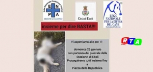 violenza-agli-animali--eboli-rtalive