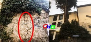 cava-de-tirreni-albero-rtalive