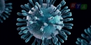 coronavirus-covid-19-rtalive