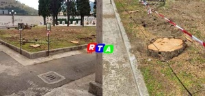 alberi-tagliati-cimitero-castel-san-giorgio-rtalive