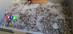 sequestro-guardia-costiera-novellame-rtalive-pesca