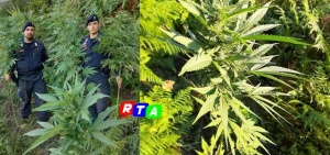 droga-tramonti-rtalive-carabinieri-rtalive