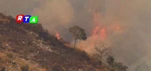 incendi-montagne-rtalive