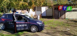 canile-sequestro-boscoreale-rtalive