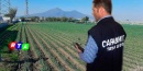 caporalato-aziende-agricole-rtalive-lavoro-nero