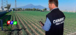 caporalato-aziende-agricole-rtalive-lavoro-nero