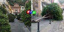 sarno-maltempo-alberi-abbattuti-rtalive