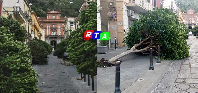 sarno-maltempo-alberi-abbattuti-rtalive