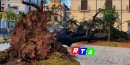 albero-caduto-piazza-de-santis-nocera-rtalive-dicembre-2020