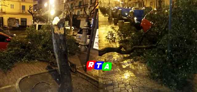 alberi-caduti-salerno-vento-forte-rtalive