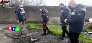 carabinieri-controlli-noe-denunciati-rtalive