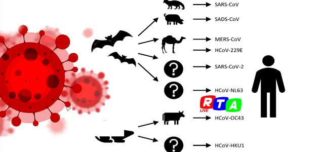 sars-coV2-animale-uomo-covid19-coronavirus-rtalive