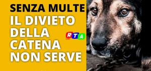 divieto-della-catena-animali-RTAlive