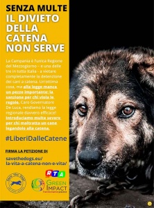 manifesto-divieto-della-catena-animali-RTAlive