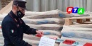 sequestro-impianto-pellet-carabinieri-ambientali-RTAlive